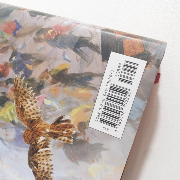 Harry Potter Books 1-3 Illustrated First Editions Jim Kay Bundle - Picture 11 of 14